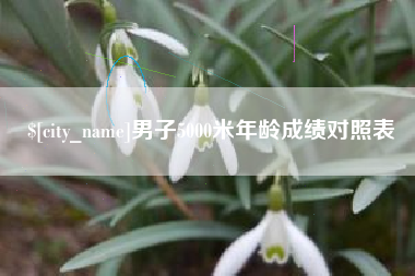 瑞安男子5000米年龄成绩对照表