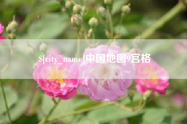 瑞安中国地图9宫格