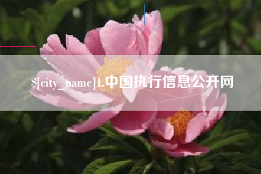 瑞安1.中国执行信息公开网