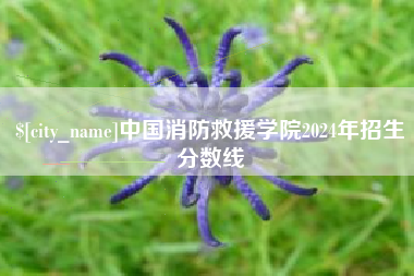 瑞安中国消防救援学院2024年招生分数线