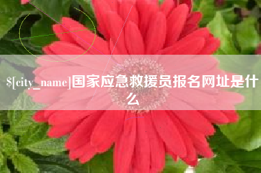 瑞安国家应急救援员报名网址是什么