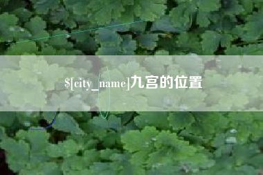 瑞安九宫的位置