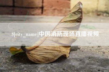 瑞安中国消防现场直播视频