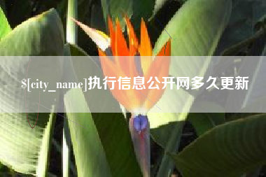 瑞安执行信息公开网多久更新