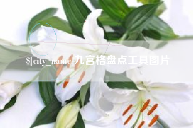 瑞安九宫格盘点工具图片