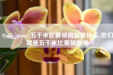瑞安五千米比赛领跑员是什么-他们就是五千米比赛领跑员