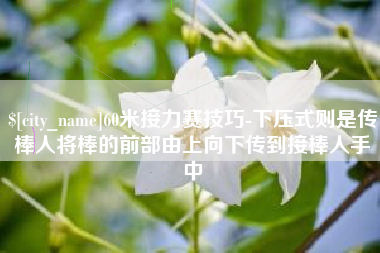 瑞安60米接力赛技巧-下压式则是传棒人将棒的前部由上向下传到接棒人手中