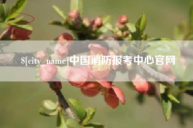 瑞安中国消防报考中心官网