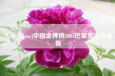 瑞安中国金牌榜2024巴黎奥运会最新