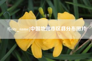 瑞安中国地图市区县分布图片