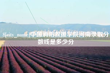 瑞安中国消防救援学院河南录取分数线是多少分