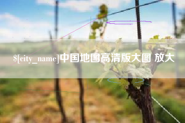 瑞安中国地图高清版大图 放大