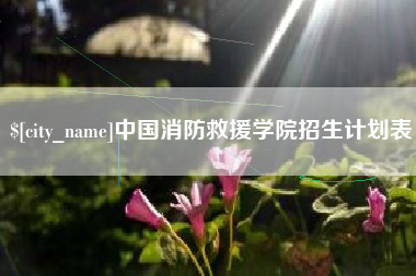 瑞安中国消防救援学院招生计划表