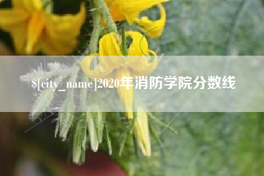 瑞安2020年消防学院分数线