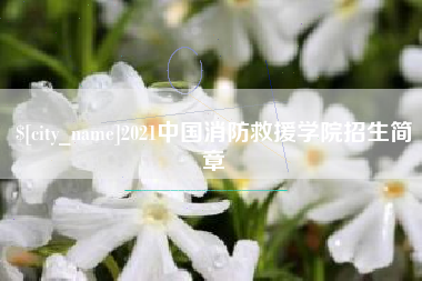瑞安2021中国消防救援学院招生简章