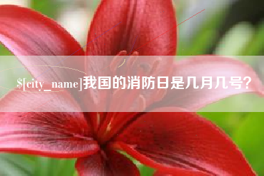 瑞安我国的消防日是几月几号？