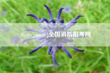瑞安全国消防招考网