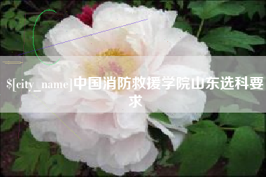 瑞安中国消防救援学院山东选科要求