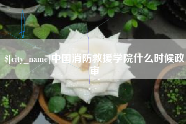 瑞安中国消防救援学院什么时候政审
