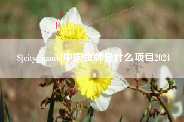 瑞安中国金牌是什么项目2024