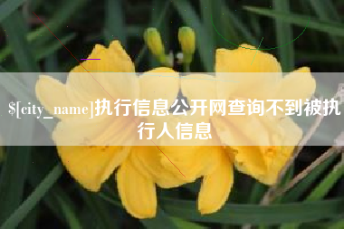 瑞安执行信息公开网查询不到被执行人信息