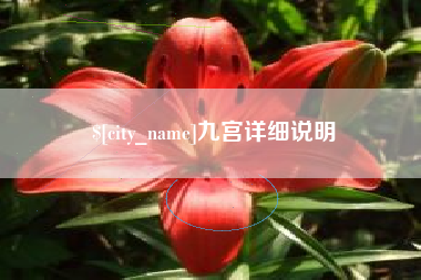 瑞安九宫详细说明