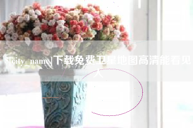 瑞安下载免费卫星地图高清能看见人