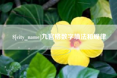 瑞安九宫格数字填法和规律