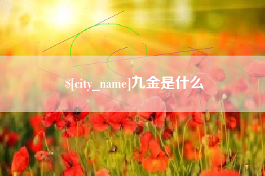 瑞安九金是什么