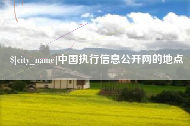 瑞安中国执行信息公开网的地点