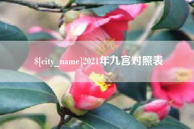 瑞安2021年九宫对照表