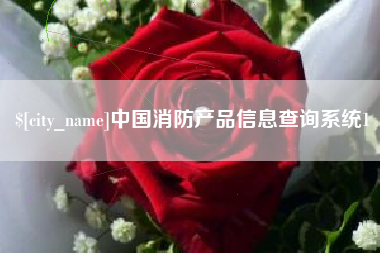 瑞安中国消防产品信息查询系统1