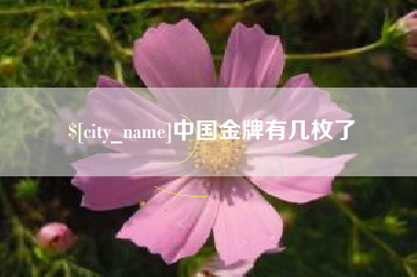 瑞安中国金牌有几枚了