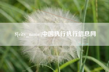 瑞安中国执行执行信息网