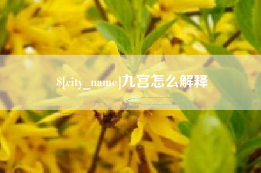 瑞安九宫怎么解释