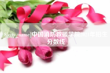 瑞安中国消防救援学院2021年招生分数线
