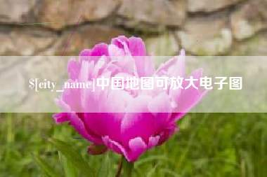 瑞安中国地图可放大电子图
