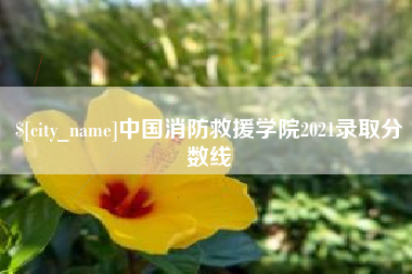 瑞安中国消防救援学院2021录取分数线