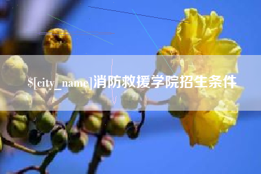 瑞安消防救援学院招生条件