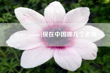 瑞安现在中国哪几个金牌