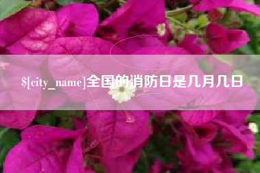 瑞安全国的消防日是几月几日