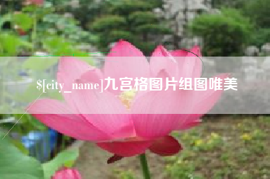 瑞安九宫格图片组图唯美