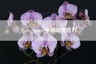 瑞安中国消防官方