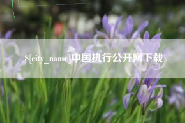 瑞安中国执行公开网下载