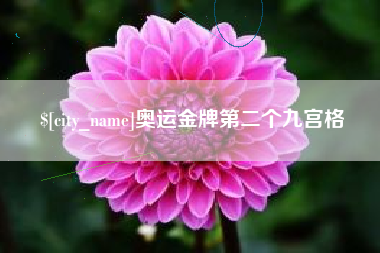 瑞安奥运金牌第二个九宫格