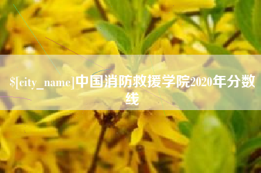 瑞安中国消防救援学院2020年分数线