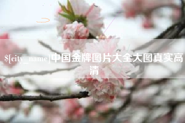 瑞安中国金牌图片大全大图真实高清