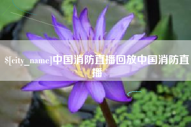 瑞安中国消防直播回放中国消防直播
