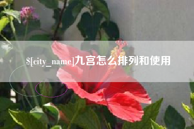 瑞安九宫怎么排列和使用