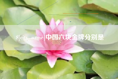 瑞安中国六块金牌分别是